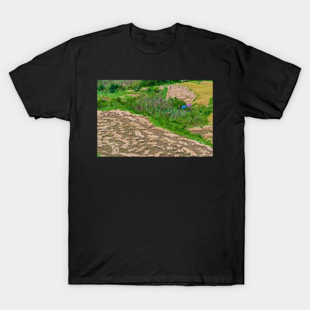 Resting. T-Shirt by bulljup